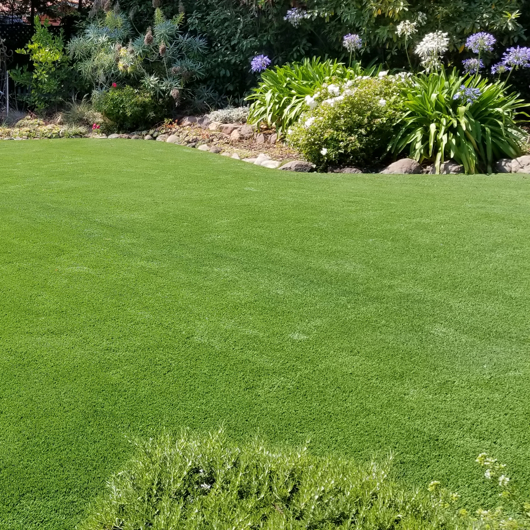 Backyard Artificial Grass and Garden