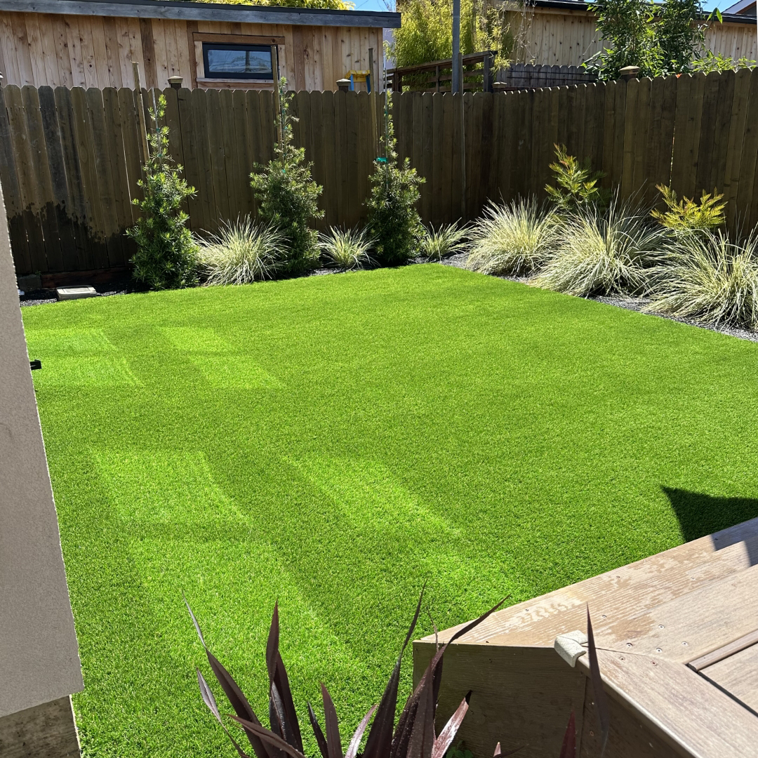 Artificial Grass with Fence