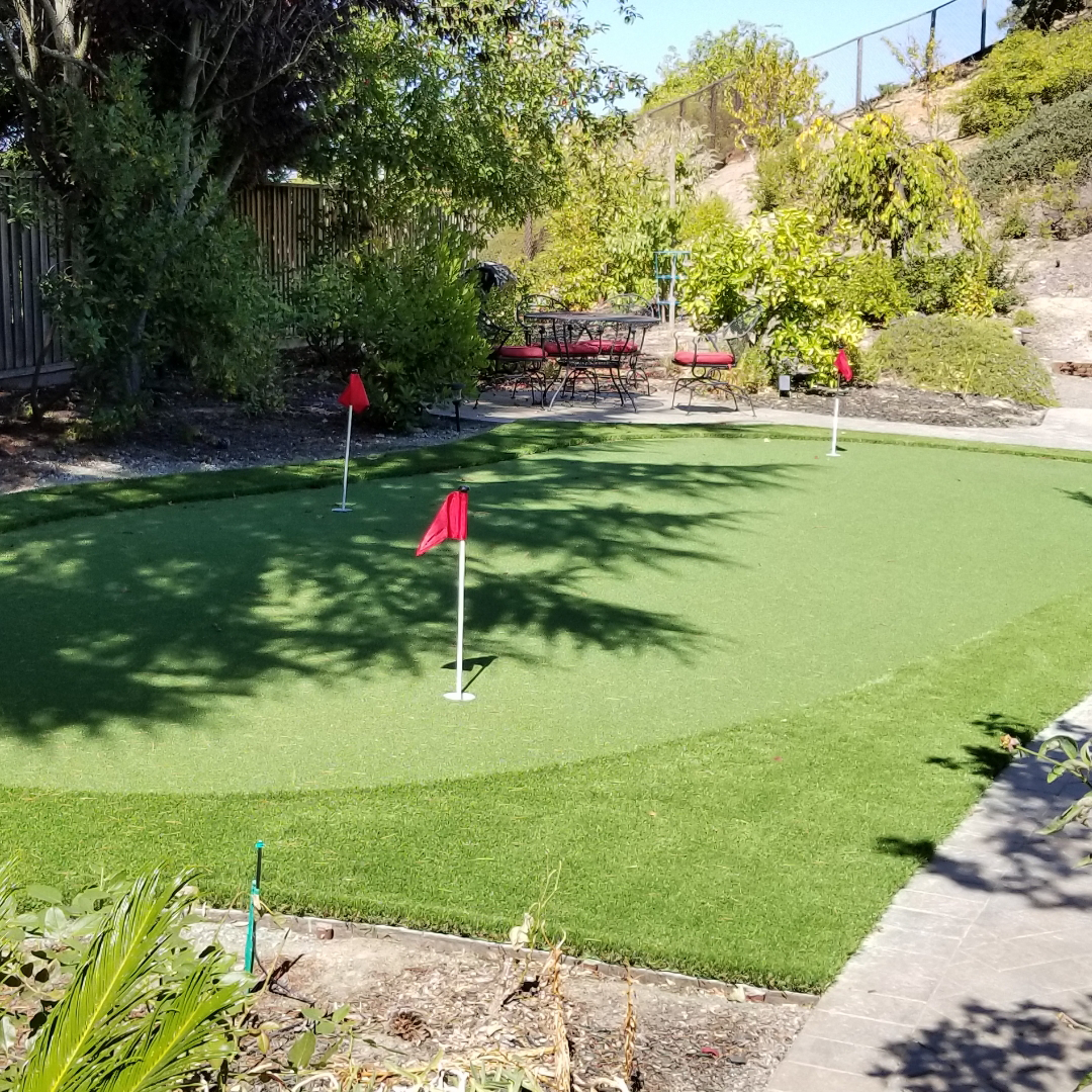 Backyard Mini Golf Course with Flags