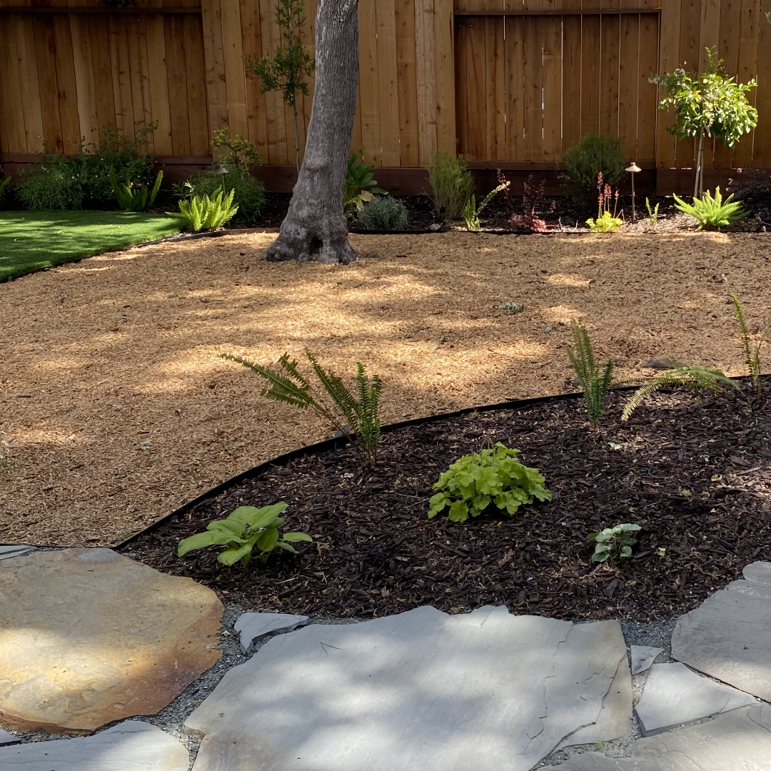 Garden with Pavers