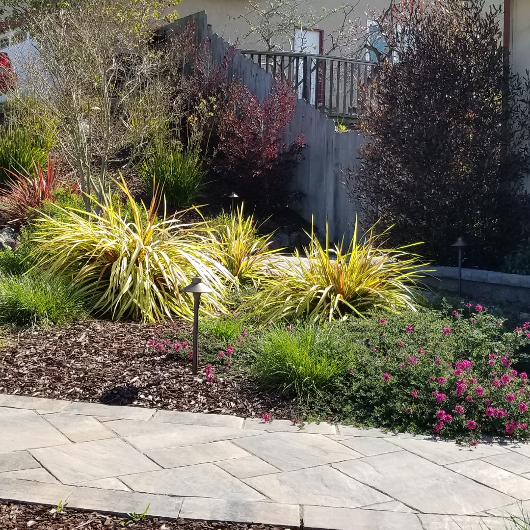 Garden with Stone Walkway